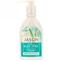 Jason Natural, ピュアナチュラル・ボディウォッシュ、穏やかなアロエベラ、30オンス (887 ml)
