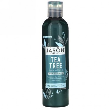 Jason Natural, トリートメントコンディショナー、ティーツリー、8 oz (227 g)