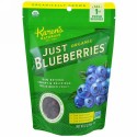 Karen's Naturals, オーガニック・ジャスト・ブルーベリーズ, 冷凍ドライフルーツ, 2 オンス (56 g)