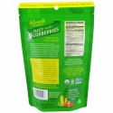 Karen's Naturals, オーガニック・ジャスト・ブルーベリーズ, 冷凍ドライフルーツ, 2 オンス (56 g)