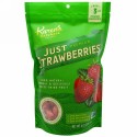 Karen's Naturals, プレミアム、フリーズドライフルーツ、ストロベリーだけ、4 oz (112 g) (Discontinued Item)