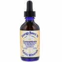 Morningstar Minerals, エナジーブースト70、 濃縮、 2 fl oz