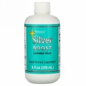 Morningstar Minerals, Silver Boost, Colloidal Silver Liquid, 8 fl oz (236 ml)