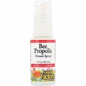 Natural Factors, Bee Propolis, Throat Spray, 1 fl oz (30 ml) (Discontinued Item)