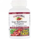 Natural Factors, グレープシードリッチ, グレープシード エキス, 100 mg, 90 ベジカプセル