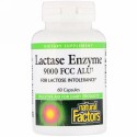 Natural Factors, ラクターゼ酵素, 9000 FCC ALU, 60 カプセル