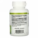 Natural Factors, Premium Milk Thistle, 160 mg, 60 Vegetarian Capsules