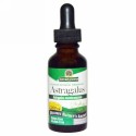 Nature's Answer, レンゲ、アルコールフリー、2,000mg、30ml（1fl oz）