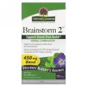 Nature's Answer, Brainstorm 2, Herbal Combination, 450 mg, 90 Vegetarian Capsules