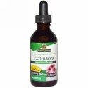 Nature's Answer, エキナセア、アルコールフリー、1000 mg, 2 液量オンス (60 ml)