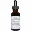 Nature's Answer, ショウガ, アルコールフリー, 1,000 mg, 1液量オンス (30 ml)