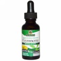 Nature's Answer, ギムネマ、アルコールフリー、 600 mg、1 液量オンス (30 ml)