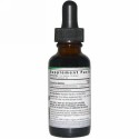Nature's Answer, ツクシ、アルコールフリー、2000 mg、 1液量オンス(30 ml)