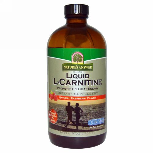 Nature's Answer, 液体 L-カルニチン、 自然なラズベリーフレーバー、 16液量オンス (480 ml) (Discontinued Item)