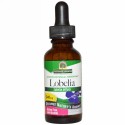 Nature's Answer, ロベリア、 240mg、 1液量オンス (30 ml)
