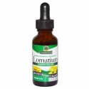 Nature's Answer, ロマチウム, 根, アルコールフリーエキス (1:1),　1 液量オンス  (30 ml) (Discontinued Item)