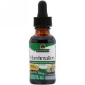Nature's Answer, ウスベニタチアオイ、 アルコールフリー、 2000 mg、 1液量オンス (30 ml)
