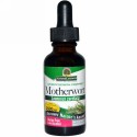 Nature's Answer, マザーワート、 低 アルコール、 2000 mg、 1 fl oz (30 ml)