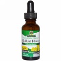 Nature's Answer, ムレイン フラワー、 いやーオイル、 アルコール 不使用、 1 fl oz (30 ml)
