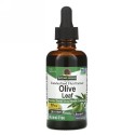 Nature's Answer, Olive Leaf, Alcohol-Free, 50 mg, 2 fl oz (60 ml)