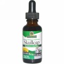 Nature's Answer, タチナミソウ、 アルコール不使用、 2000 mg、 1 fl oz (30 ml)