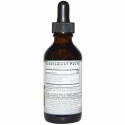 Nature's Answer, スーパー グリーンティー、 アルコール不使用、 2 fl oz (60 ml)