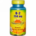 Nature's Life, B-2 リボフラビン、 250 mg、 100錠 (Discontinued Item)