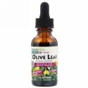 Nature's Plus, ハーバル・アクティブ, オリーブ 葉, アルコール不使用, 1 オンス (30 ml)