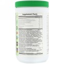Nature's Plus, 有機ウルトラジュースグリーンパウダー、600g (Discontinued Item)
