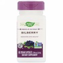 Nature's Way, ビルベリー、160mg、植物性カプセル60錠