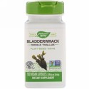 Nature's Way, ブラダーラック、580 mg、ビーガンカプセル100粒