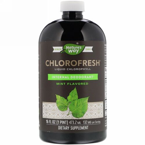 Nature's Way, クロロフレッシュ、リキッド・クロロフィル、ミント味、16液量オンス (473.2 ml)