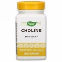 Nature's Way, コリン、500mg、ビーガンタブレット100粒
