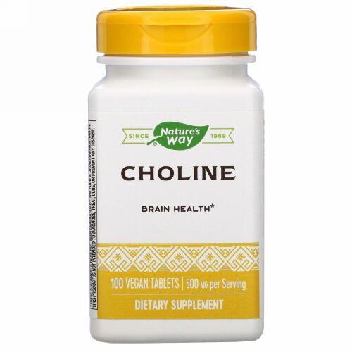 Nature's Way, コリン、500mg、ビーガンタブレット100粒