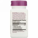 Nature's Way, エキナセアキバナオウギ＆霊芝、1,200mg、ビーガンカプセル100粒