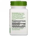 Nature's Way, ホーステールグラス、440mg、ビーガンカプセル100粒