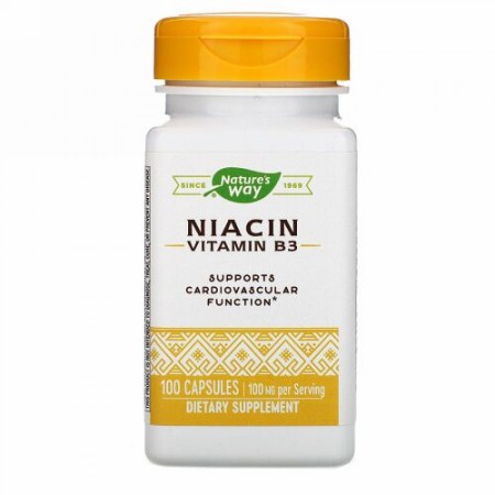 Nature's Way, ナイアシン、ビタミンB3、100mg、100粒