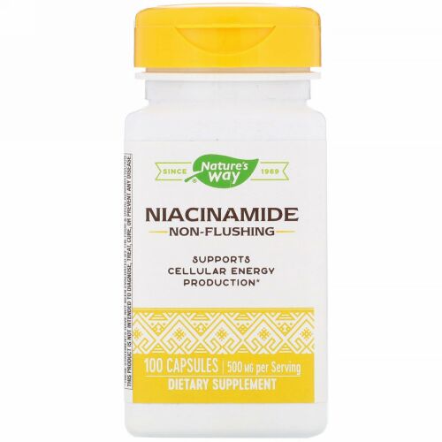 Nature's Way, ナイアシンアミド、500mg、100粒