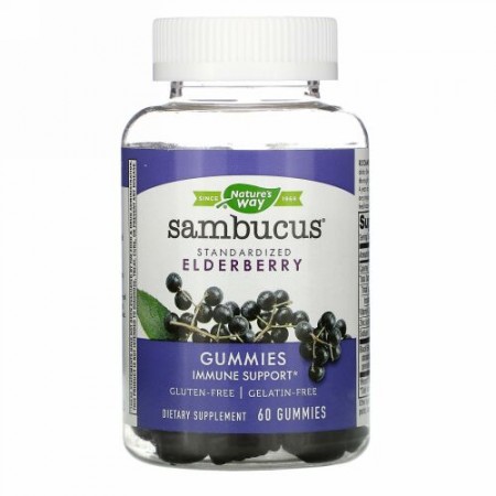 Nature's Way, サンブーカスグミ、標準化エルダーベリー、60粒