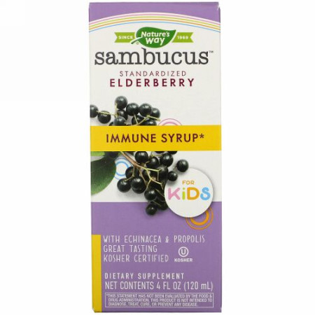 Nature's Way, Sambucus for Kids, Standardized Elderberry, Immune Syrup, 4 fl oz (120 ml)