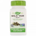 Nature's Way, ワイルドヤムの根、850mg、植物性カプセル100粒