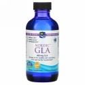 Nordic Naturals, Nordic™ GLA（ノルディック GLA）、4 液量オンス (119 ml)