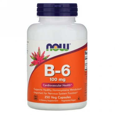 Now Foods, B-6、100mg、ベジカプセル250粒