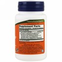 Now Foods, クリニカル GI プロバイオティック, 60 ベジタブルカプセル