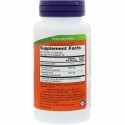 Now Foods, エキナセア & ヒドラチスの根、カプセル 100 錠