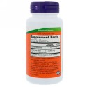 Now Foods, ゴールデンシールルート（ヒドラスチスの根）、500 mg、100 錠