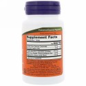 Now Foods, ウルセトロール™, 60 錠 (Discontinued Item)