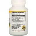 NutriBiotic, Grapefruit Seed Extract with Echinacea & Artemisia Annua, High Potency, 125 mg, 90 Vegan Capsules