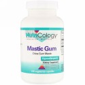 Nutricology, マスティックガム, 120ベジタリアンカプセル