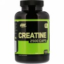 Optimum Nutrition, クレアチン 2500 Caps、 100カプセル